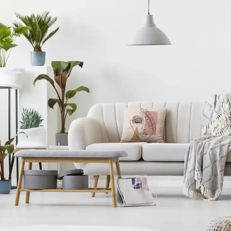 وسادة ألوان C-20