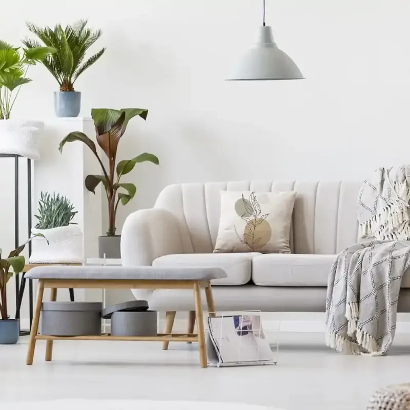 وسادة ملونة C-20