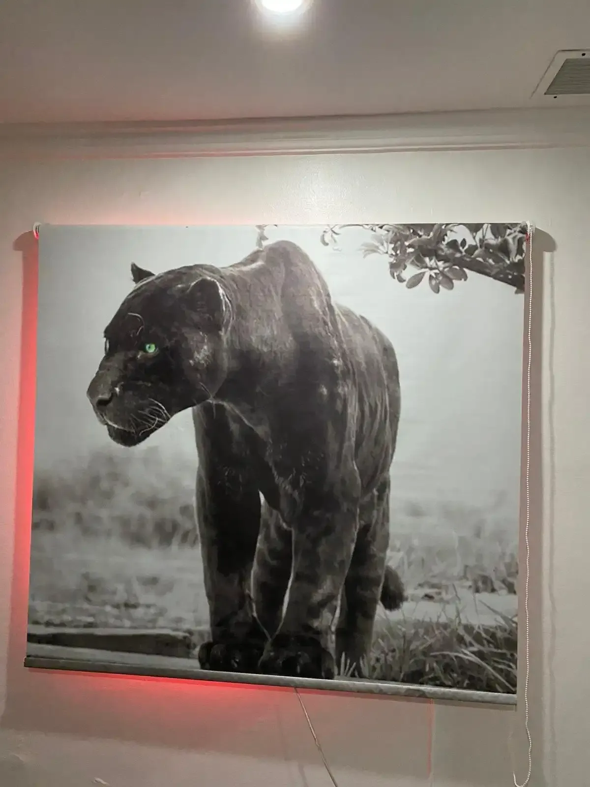 ستائر الأمير