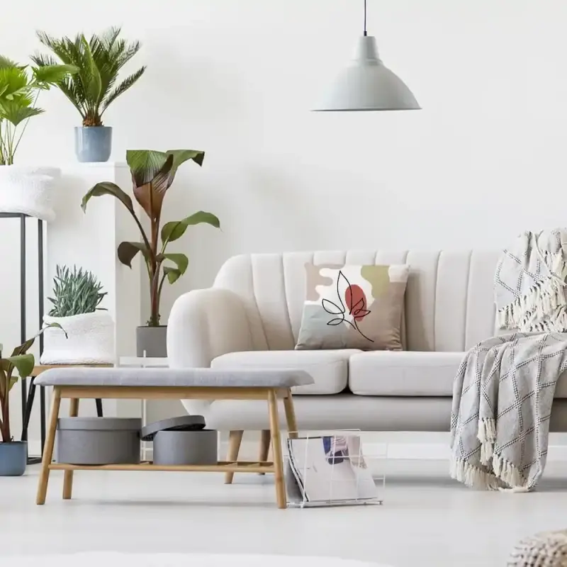 وسادة ألوان C-18