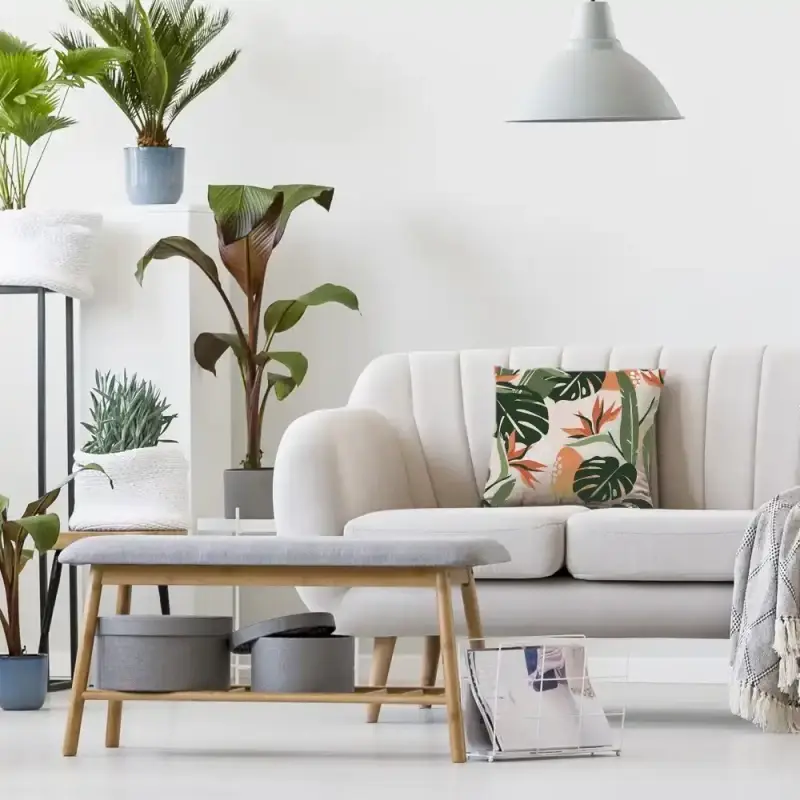 وسادة ألوان C-19