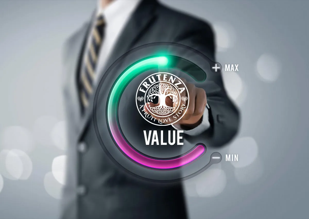 ستائر اتوماتيك بتحكم ذكي